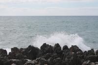 IMG_7469