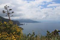 IMG_7491