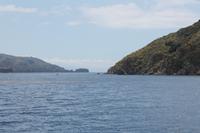 IMG_7495