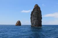 IMG_7509