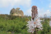 IMG_7543