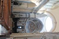 IMG_7569
