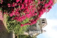 IMG_7652
