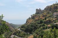 IMG_7660