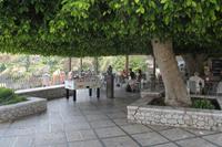 IMG_7674