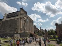 Im Forum Romanum (8)