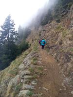 Im Nebel