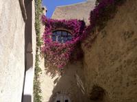 Im Schloss 