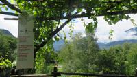 Im Schloss Trauttmansdorff