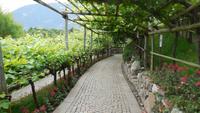 Im Schloss Trauttmansdorff
