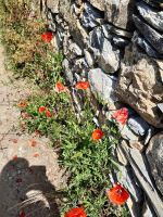 Impessionen