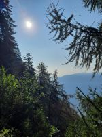 Impessionen