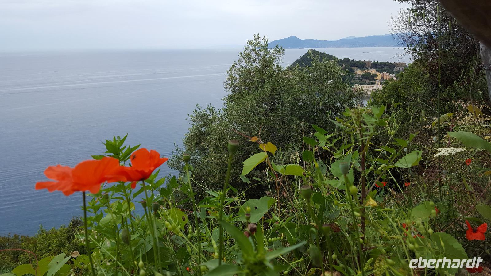 Impressionen