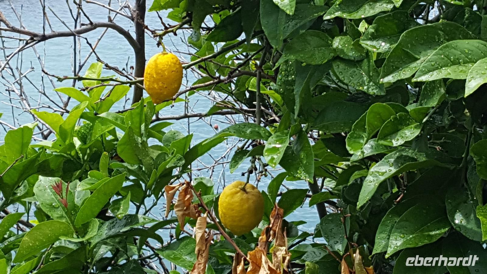 Impressionen