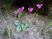 Impressionen