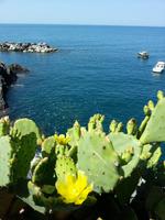 Impressionen