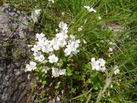 Impressionen