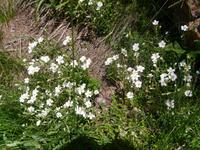 Impressionen