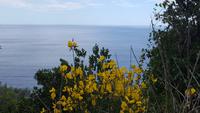 Impressionen