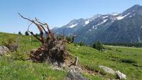 Impressionen