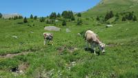 Impressionen