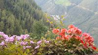Impressionen