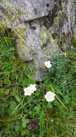 Impressionen