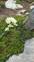Impressionen