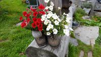 Impressionen