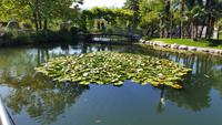 Impressionen