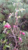 Impressionen