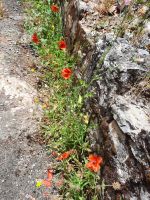 Impressionen