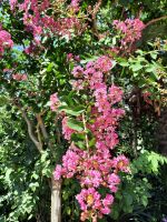 Impressionen