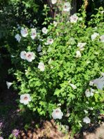 Impressionen