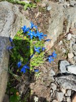Impressionen