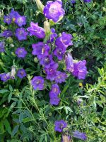 Impressionen