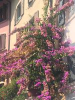 In Limone