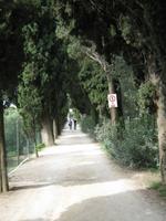 In San Vigilio