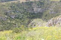 In Segesta