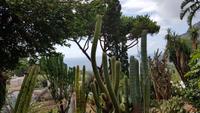 Insel Capri,