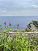 Insel Capri