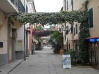 Insel Elba - Rundfahrt (Porto Azzurro)