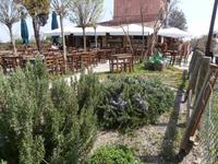 Insel Torcello