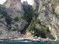Inselrundfahrt Capri