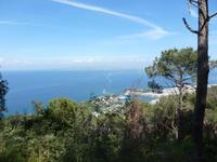 Ischia Porto