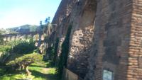 Ischia, Inselrundfahrt mit Judith,Aquädukt Ischia Porto
