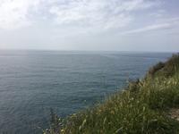 Ischia