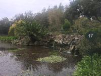 Ischia