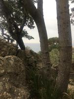 Ischia