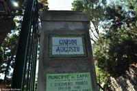 Isola di Capri
